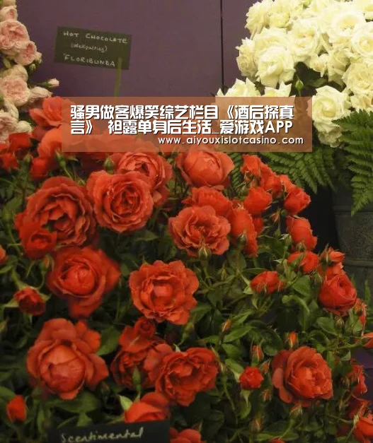 骚男做客爆笑综艺栏目《酒后探真言》 袒露单身后生活_爱游戏APP(图3) 爱游戏真人