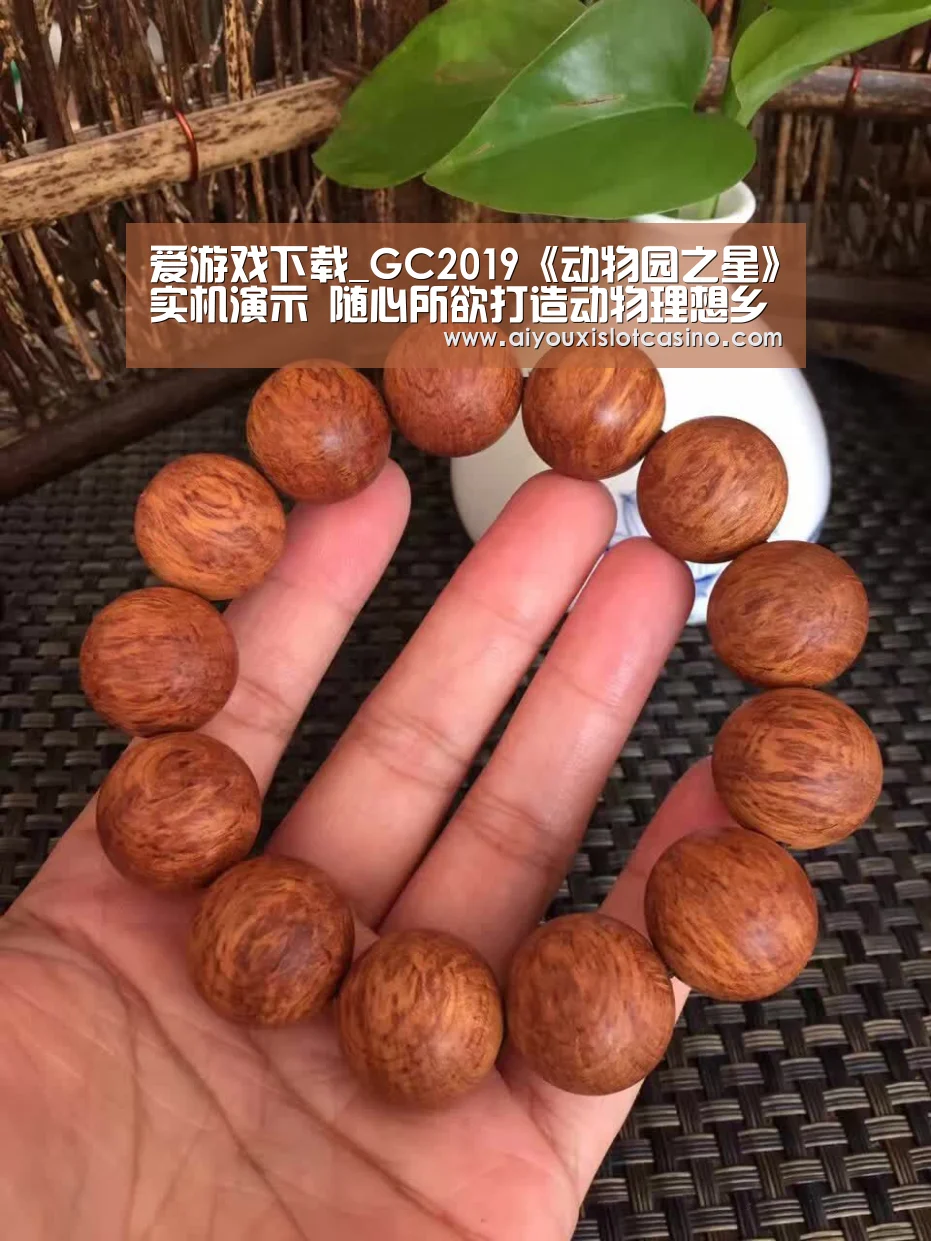 爱游戏下载_GC2019《动物园之星》实机演示 随心所欲打造动物理想乡(图1) 爱游戏下载