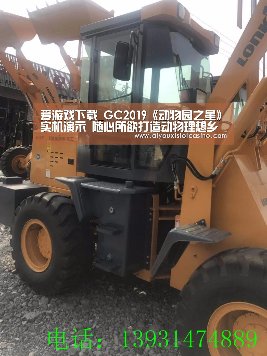 爱游戏下载_GC2019《动物园之星》实机演示 随心所欲打造动物理想乡(图4) 爱游戏下载