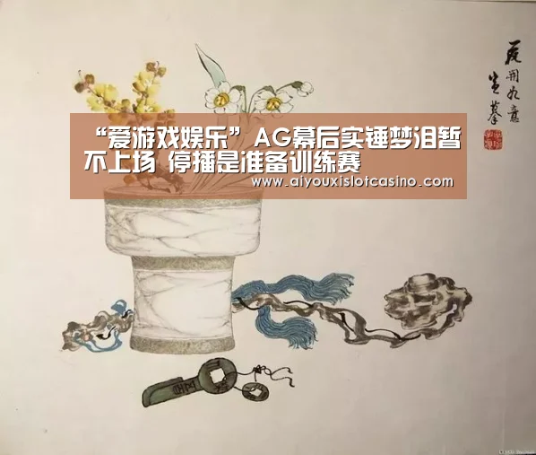 “爱游戏娱乐”AG幕后实锤梦泪暂不上场 停播是准备训练赛(图3) 爱游戏下载
