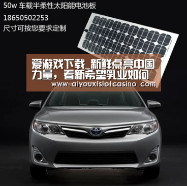 爱游戏真人