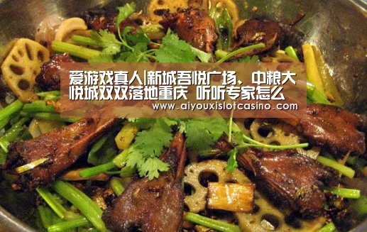 爱游戏真人|新城吾悦广场、中粮大悦城双双落地重庆 听听专家怎么说?(图3) 爱游戏APP