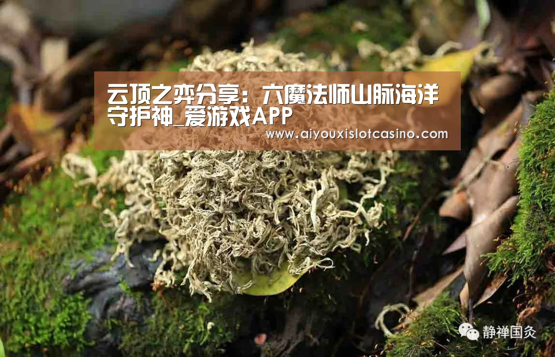 云顶之弈分享:六魔法师山脉海洋守护神_爱游戏APP(图4) 爱游戏真人