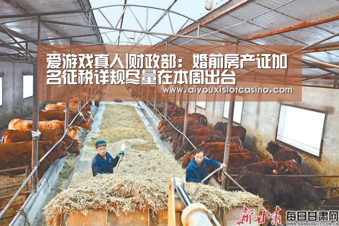 爱游戏下载