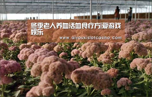 冬季老人养血活血食疗方|爱游戏娱乐(图1) 爱游戏娱乐