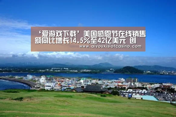 ‘爱游戏下载’美国感恩节在线销售额同比增长14.5%至42亿美元 创历史新高(图2) 爱游戏娱乐