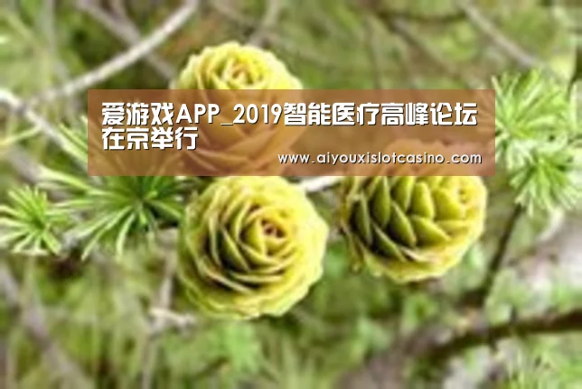 爱游戏娱乐