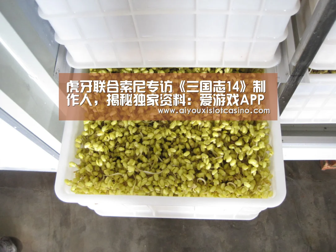 虎牙联合索尼专访《三国志14》制作人,揭秘独家资料:爱游戏APP(图2) 爱游戏娱乐